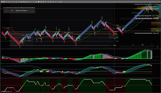 Pro Renko Chart Trading Package